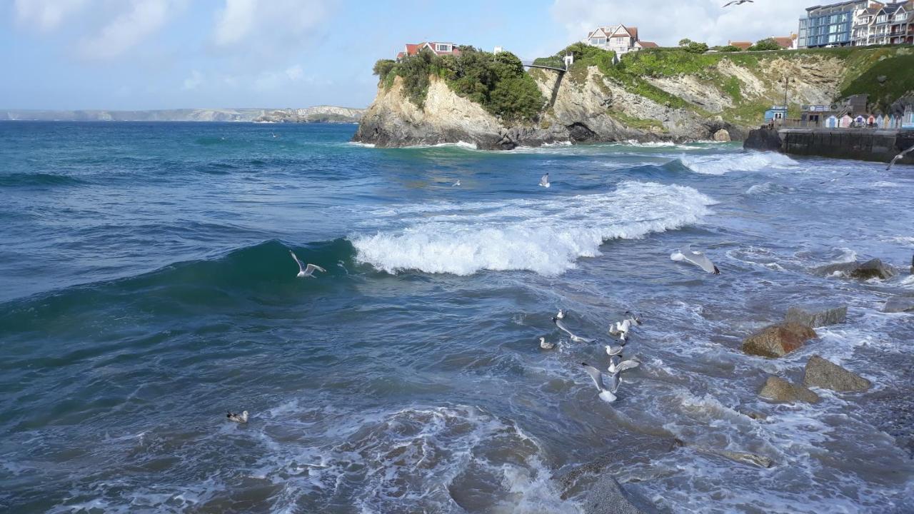 Blue Room Hostel Newquay New Quay Exteriör bild