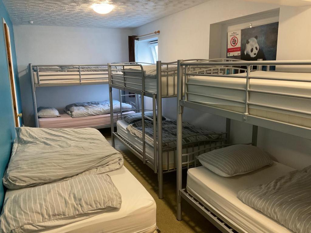 Blue Room Hostel Newquay New Quay Exteriör bild