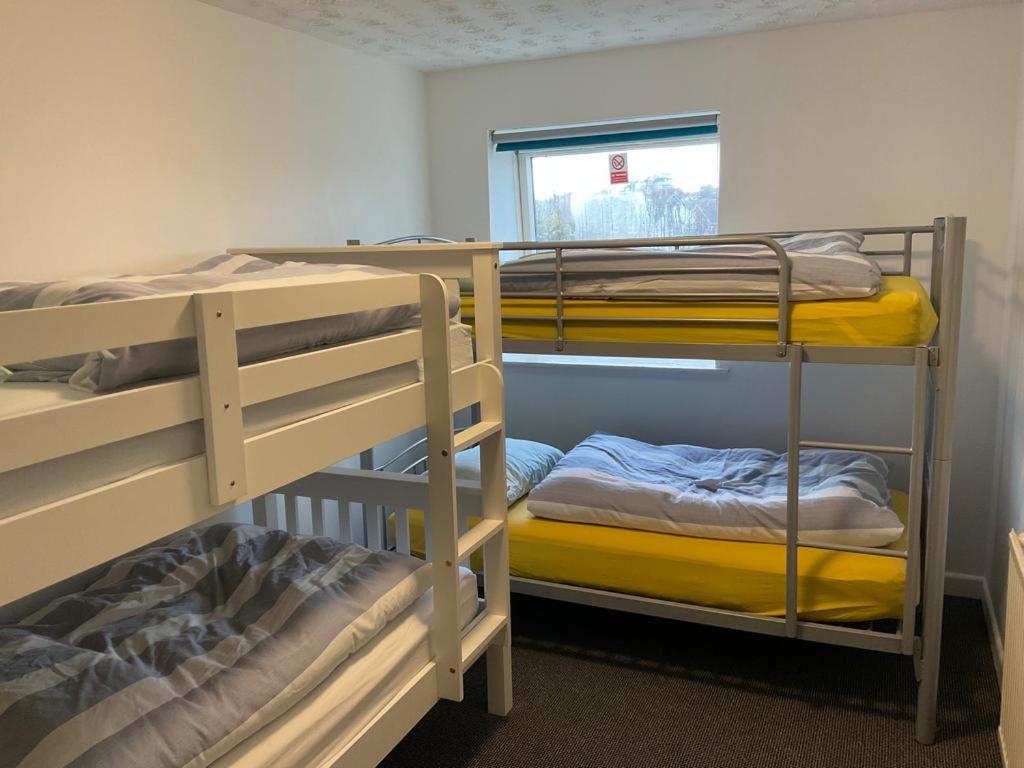 Blue Room Hostel Newquay New Quay Exteriör bild